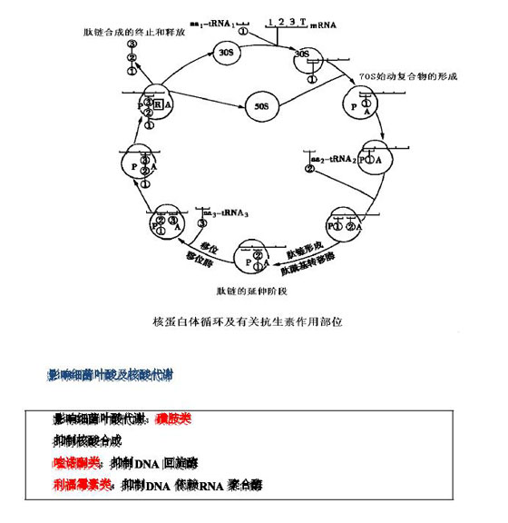 2010(zh)I(y)ˎԇˎW(xu)I(y)֪R(һ)(f)(x)Ҫc(din)(32)