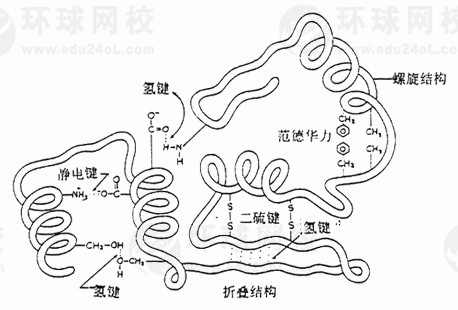 2011(zh)I(y)ˎˎW(xu)I(y)(f)(x)ժҪ18(1)