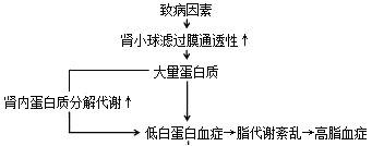 2019ooW(xu)(f)(x)c(ھ)