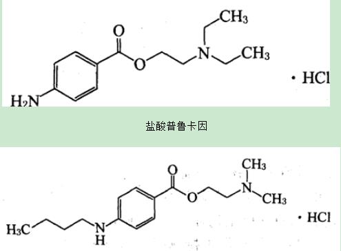 2019(j)ˎʿԇA(ch)֪R(sh)얹̾(x)}(3)