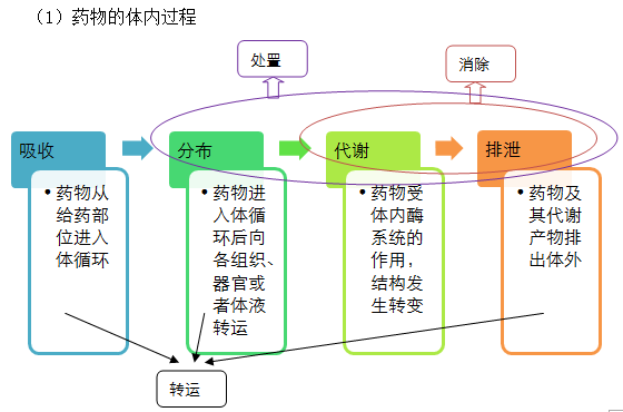 2019(zh)I(y)ˎˎW(xu)I(y)֪R(sh)һ֪R(sh)c(din)(21)